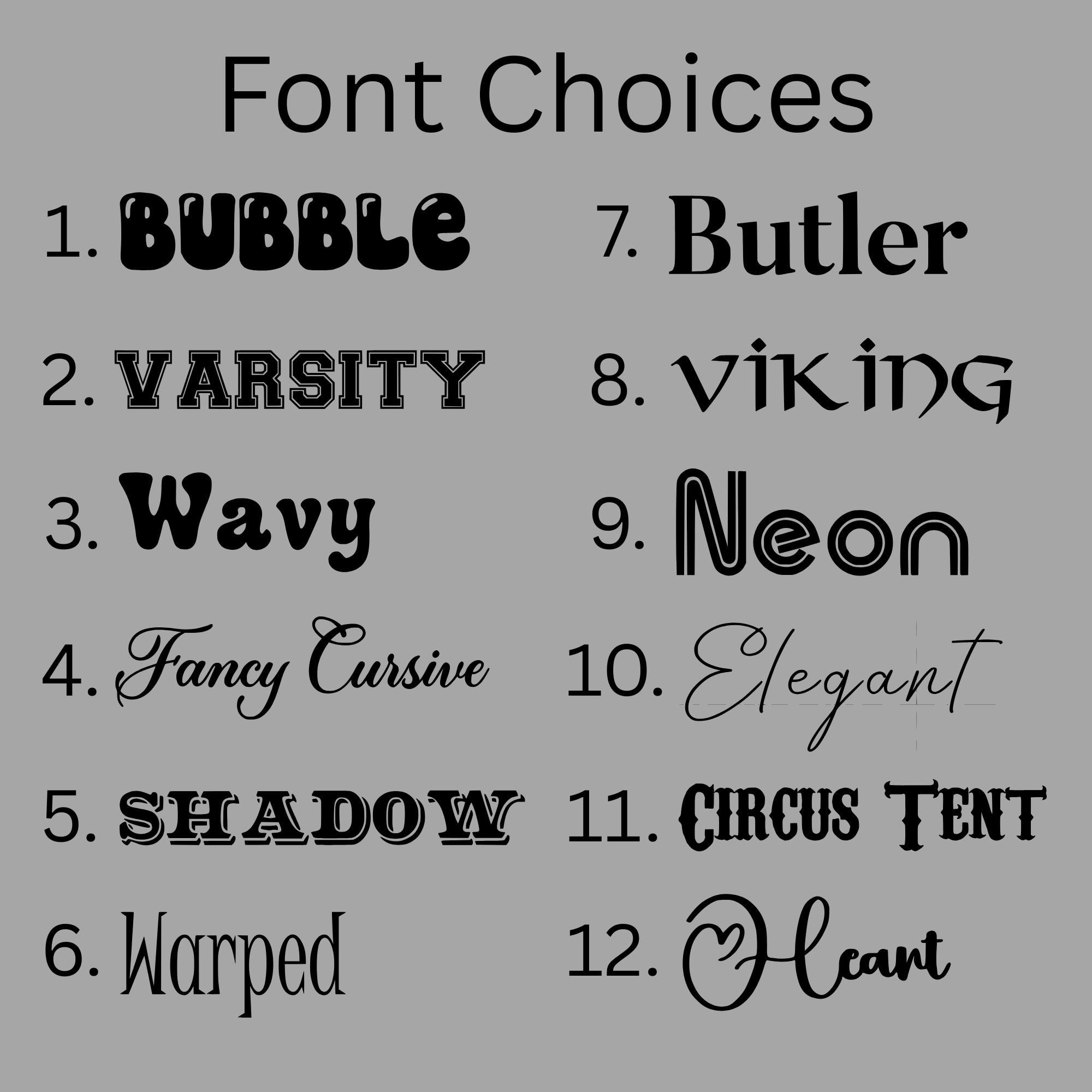 This image shows all the different font options to be engraved onto the Frostbuddy Can Cooler