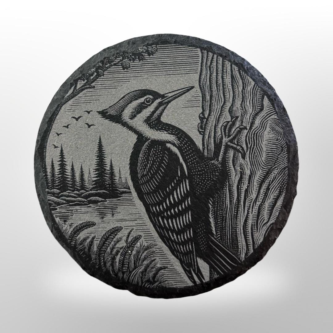 Round slate coaster with a piliated woodpecker engraved onto it